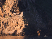 Channel Islands National Park 