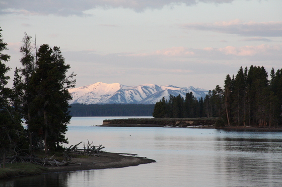 Yellowstone
