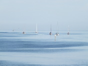 Cape Hatteras Seashore