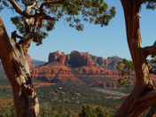 Coconino National Forest