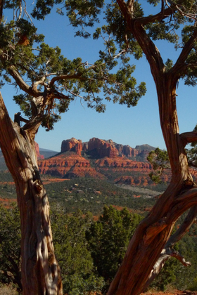 Coconino National Forest