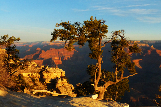 Grand Canyon