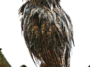 Point Reyes National Seashore