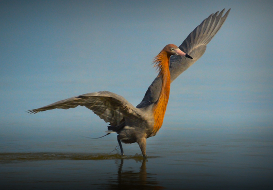 10,000 Islands National Wildlife Reserve