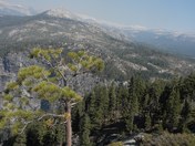 Yosemite National Park