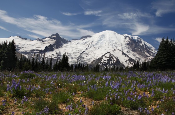 Mt. Rainier National Park