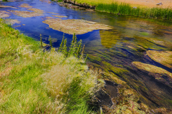 Hot Creek