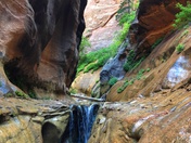 Zion National Park