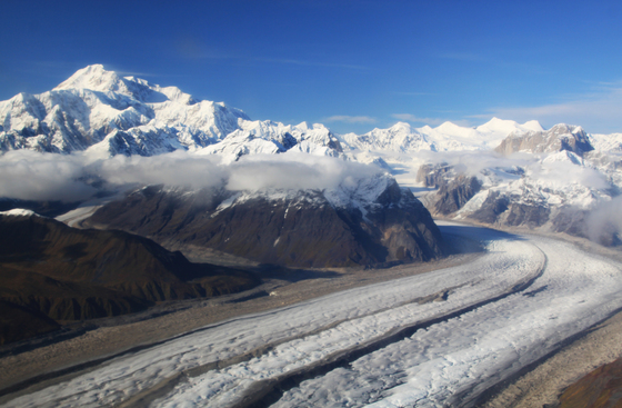 Denali National Park