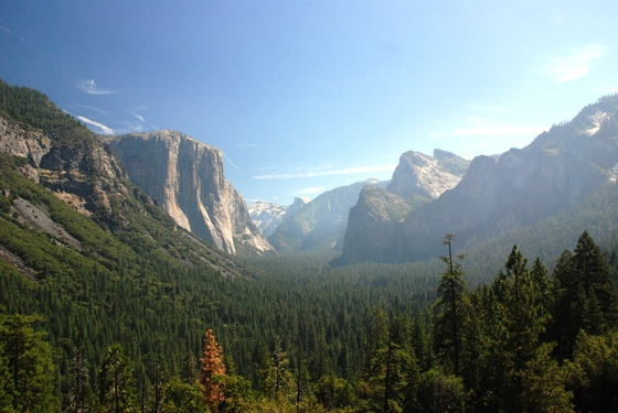 Yosemite National Park