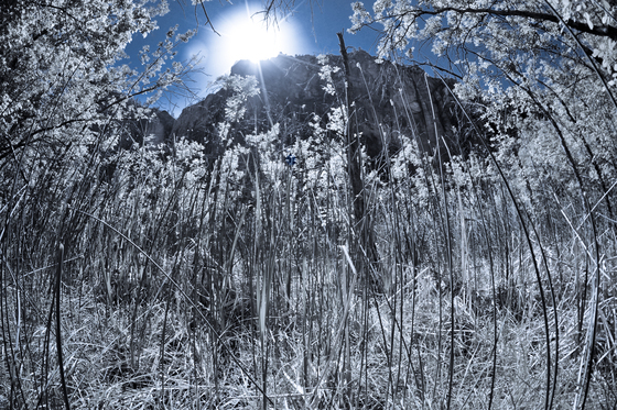 Zion National Park