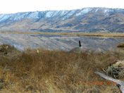 Summer Lake Wildlife Refuge