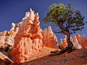 Bryce Canyon National Park