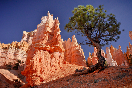 Bryce Canyon National Park