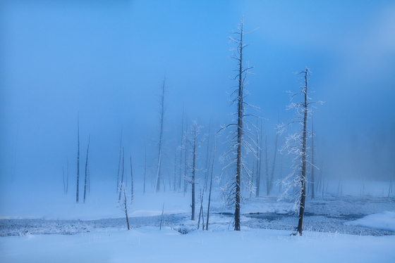 Yellowstone