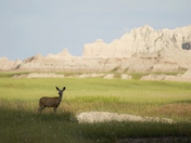 Badlands National Park