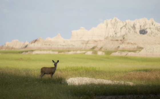 Badlands National Park