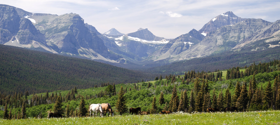 Glacier National Park