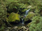 Great Smoky Mountains