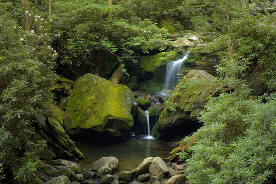 Great Smoky Mountains