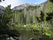 Rocky Mountain National Park