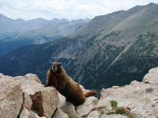 Rocky Mountain National Park