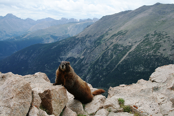 Rocky Mountain National Park