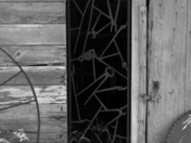 Channel Islands National Park, Santa Cruz Island