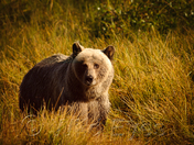 Just a few more rays