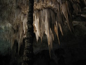 carlsbad caverns new mexico