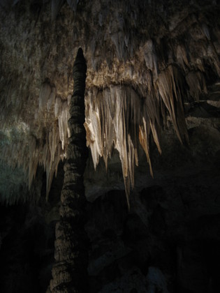 carlsbad caverns new mexico
