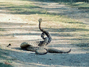 Everglades National Park