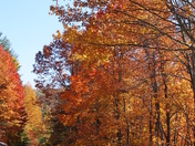 Smoky Mountain National Park