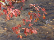Great Smoky Mountain National Park