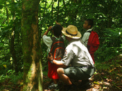 National Park of American Samoa