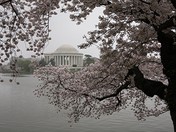 National Park Services