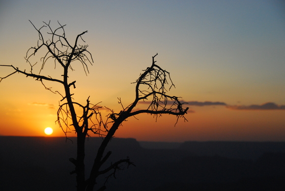 Grand Canyon