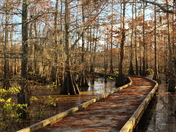 Bogue Chitto National Wildlife Refuge