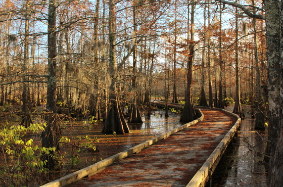 Bogue Chitto National Wildlife Refuge
