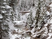 Wallowa Whitman National Forest