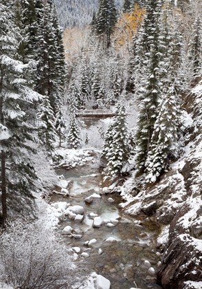 Wallowa Whitman National Forest