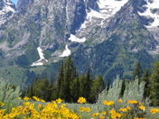 Grand Tetons