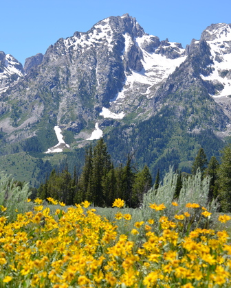 Grand Tetons