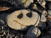 Olympic National Park