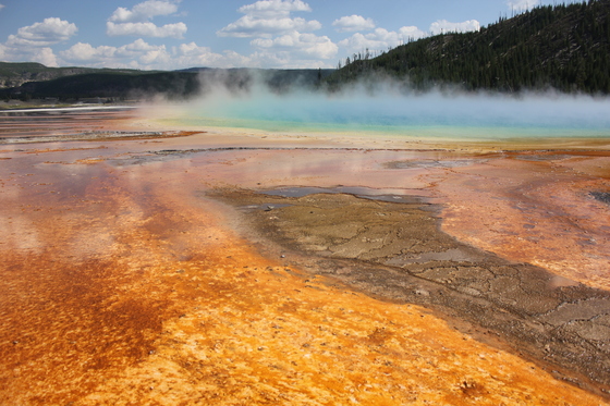 Yellowstone N. P.
