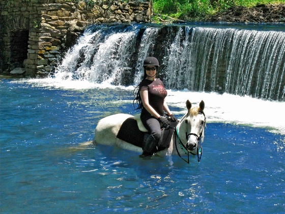 Valley Forge, PA 