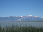 Bear River Migratory Bird Refuge