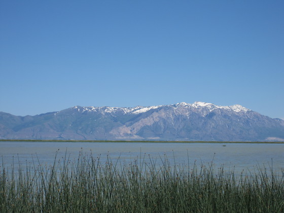 Bear River Migratory Bird Refuge