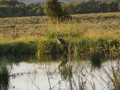 Grand Teton National Park
