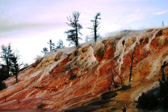 Yellowstone/Mammoth Mtn
